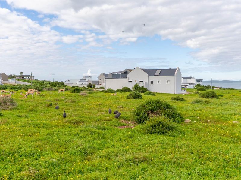 A scenic view of a grassy residential plot featuring local wildlife, with neighboring coastal homes visible in the background.