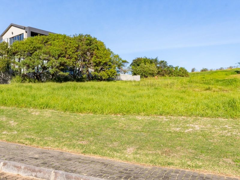 Prime Vacant Stand for Sale in Oubaai Golf Estate - Photo 3