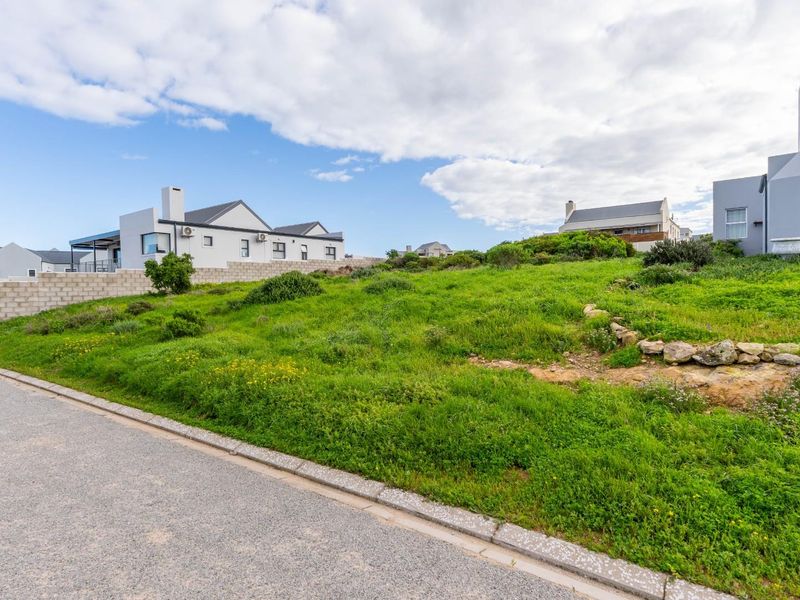 A vacant residential plot featuring natural vegetation, a paved street frontage, and surrounding established residential properties.