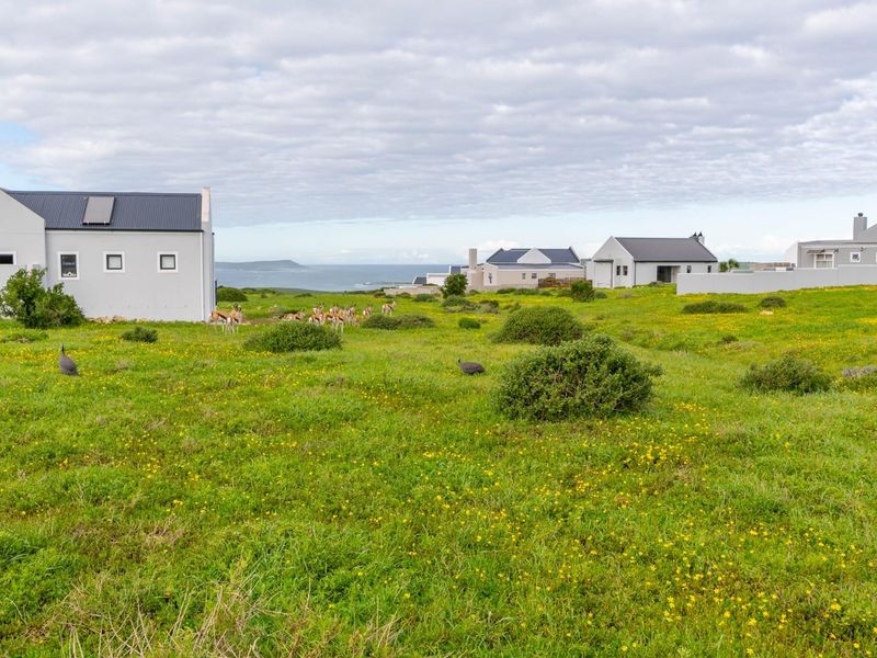 A scenic view of a coastal residential estate featuring open green spaces, natural vegetation, and distant ocean views.