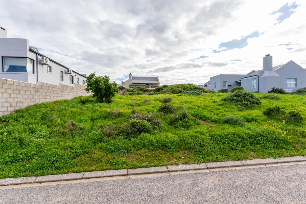 A vacant residential plot featuring natural vegetation, bordered by a concrete block wall and paved curb in a developed neighborhood.