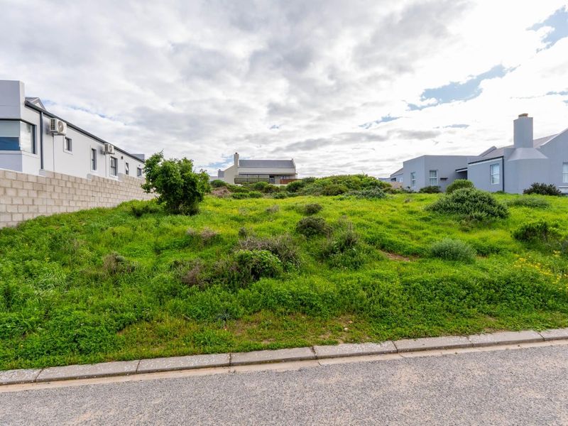 A vacant residential plot featuring natural vegetation, bordered by a concrete block wall and paved curb in a developed neighborhood.