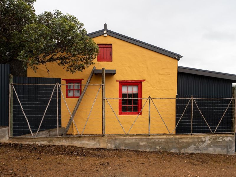 Rear elevation of a cottage featuring yellow textured masonry walls, contrasting red window frames, and corrugated metal side extensions.