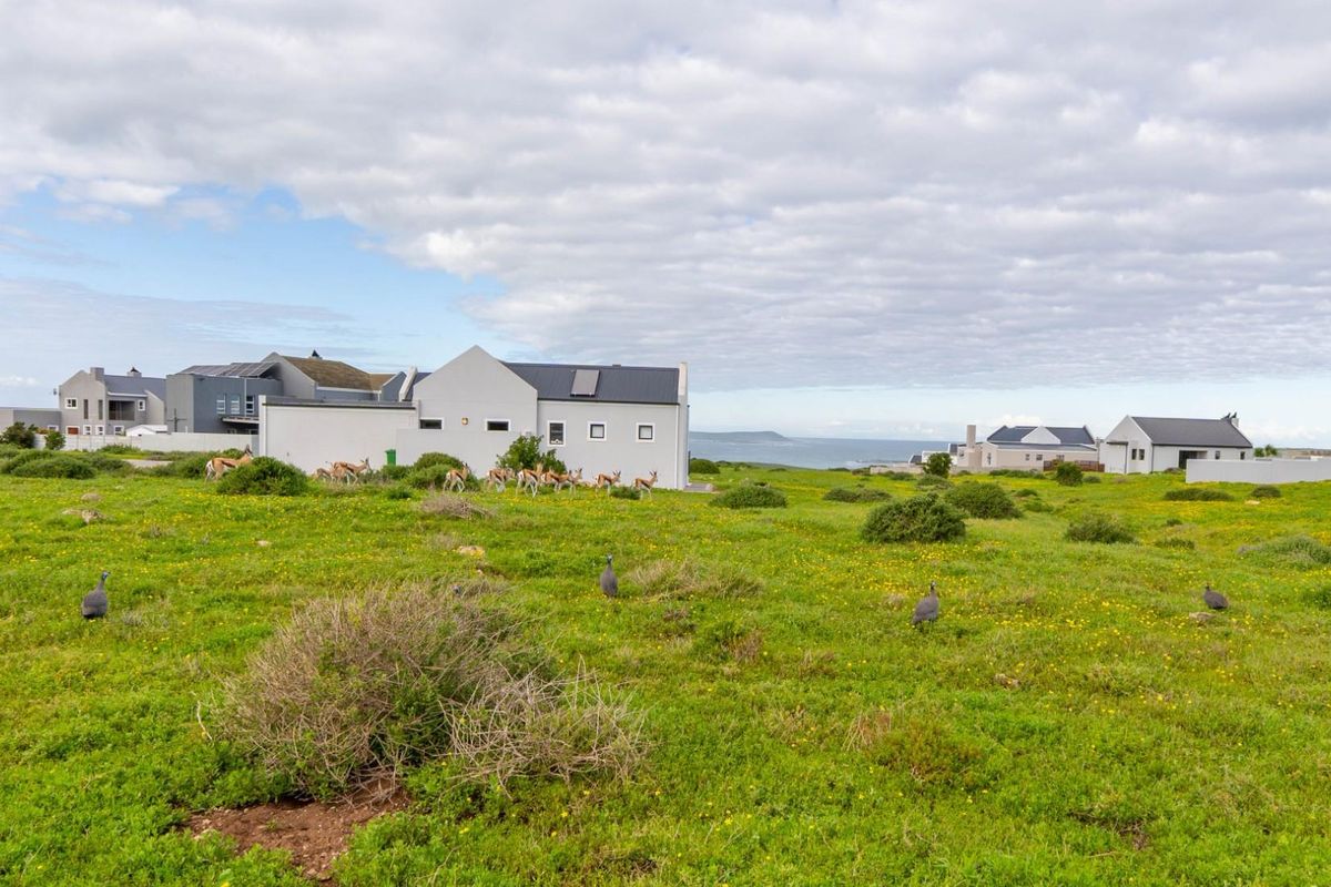 A wide-angle view of a vacant residential plot featuring natural coastal vegetation and surrounding residential properties in a quiet estate setting.