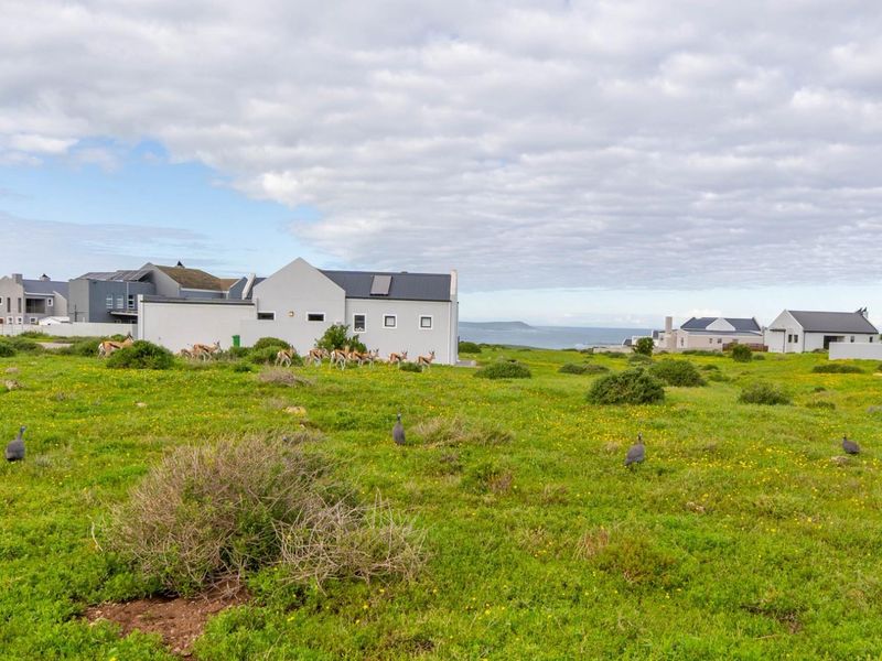 A wide-angle view of a vacant residential plot featuring natural coastal vegetation and surrounding residential properties in a quiet estate setting.
