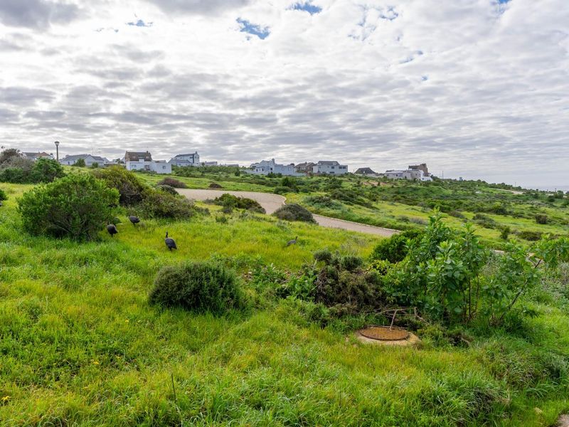 A view of a vacant residential plot featuring natural vegetation, a manhole cover, and a paved road with surrounding neighborhood houses in the distance.