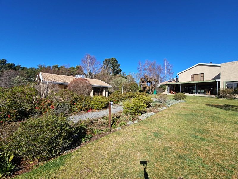 "Holly Hogs" - Exceptional Off-Grid Mountain Farm Retreat - Photo 4