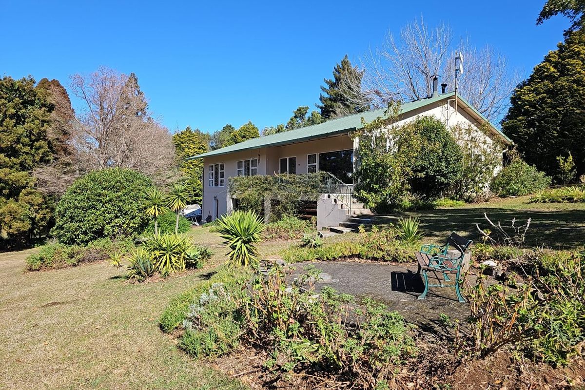 Rear view of the house featuring a metal roof, concrete patio area, and established garden surroundings.