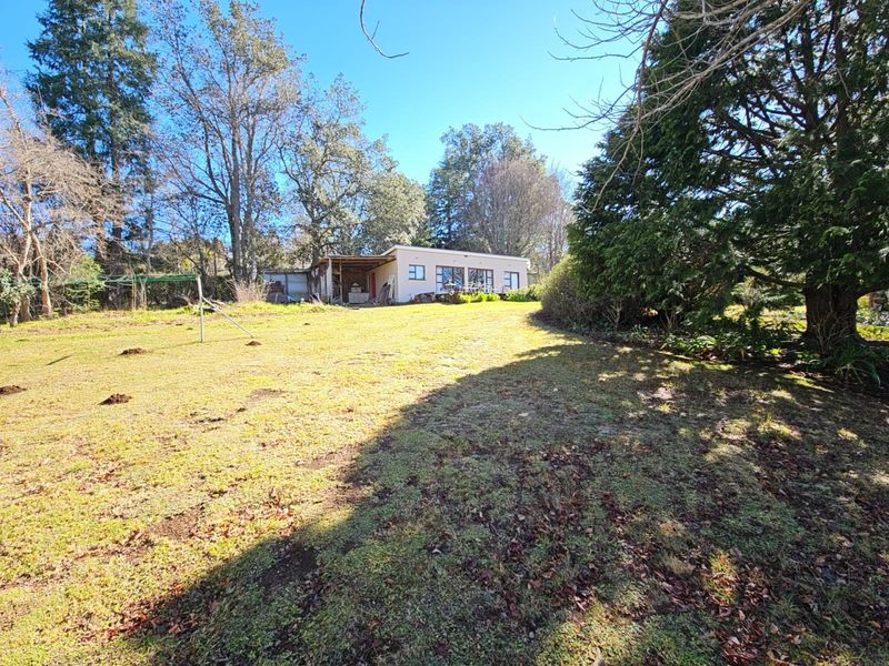 "High on Hogs" - Mountain Views. Lifestyle. Proven Income. - Photo 3