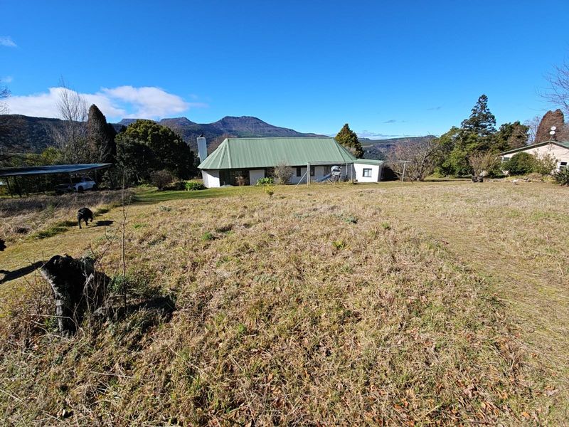 "High on Hogs" - Mountain Views. Lifestyle. Proven Income. - Photo 10