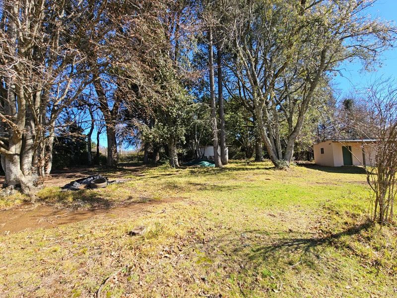 "High on Hogs" - Mountain Views. Lifestyle. Proven Income. - Photo 9