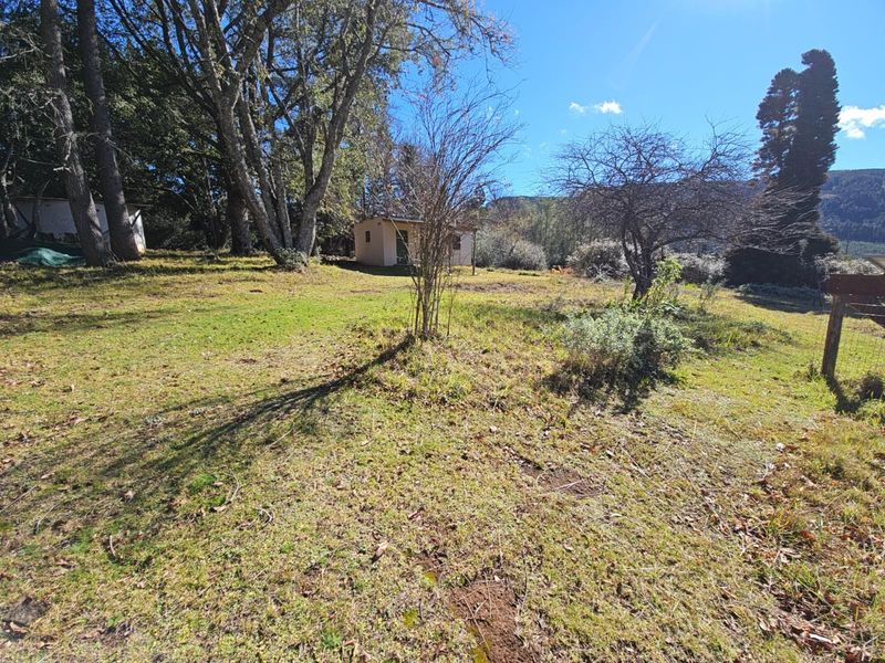 "High on Hogs" - Mountain Views. Lifestyle. Proven Income. - Photo 8