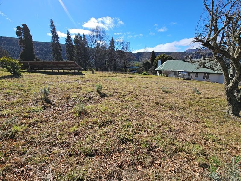 "High on Hogs" - Mountain Views. Lifestyle. Proven Income. - Photo 7