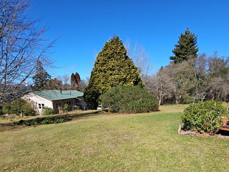 "High on Hogs" - Mountain Views. Lifestyle. Proven Income. - Photo 6
