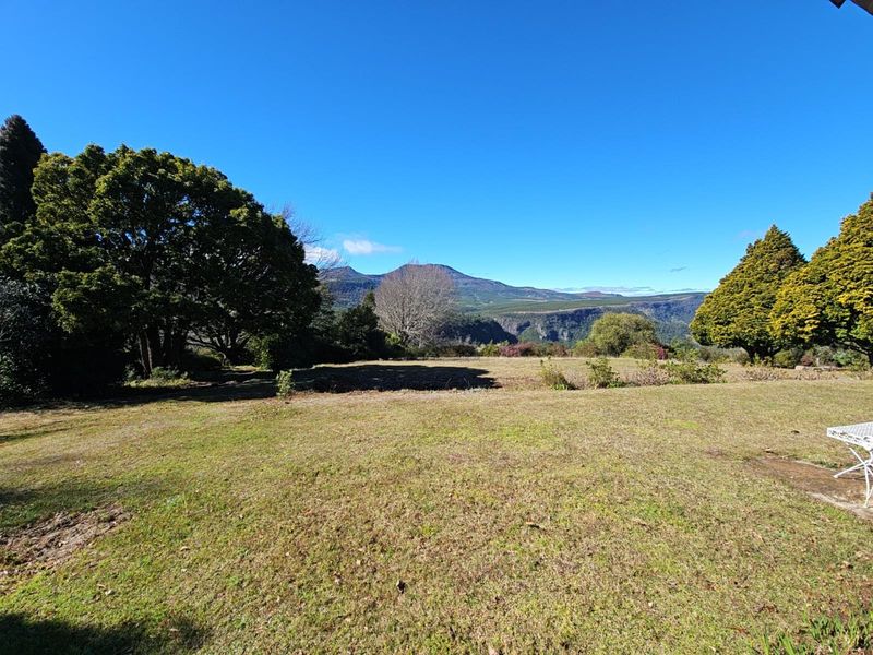 "High on Hogs" - Mountain Views. Lifestyle. Proven Income. - Photo 2