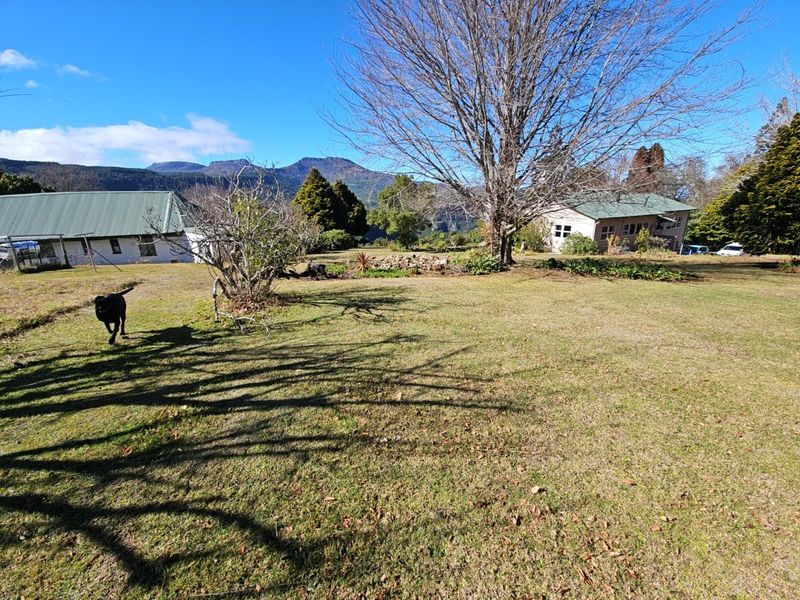 "High on Hogs" - Mountain Views. Lifestyle. Proven Income. - Photo 5