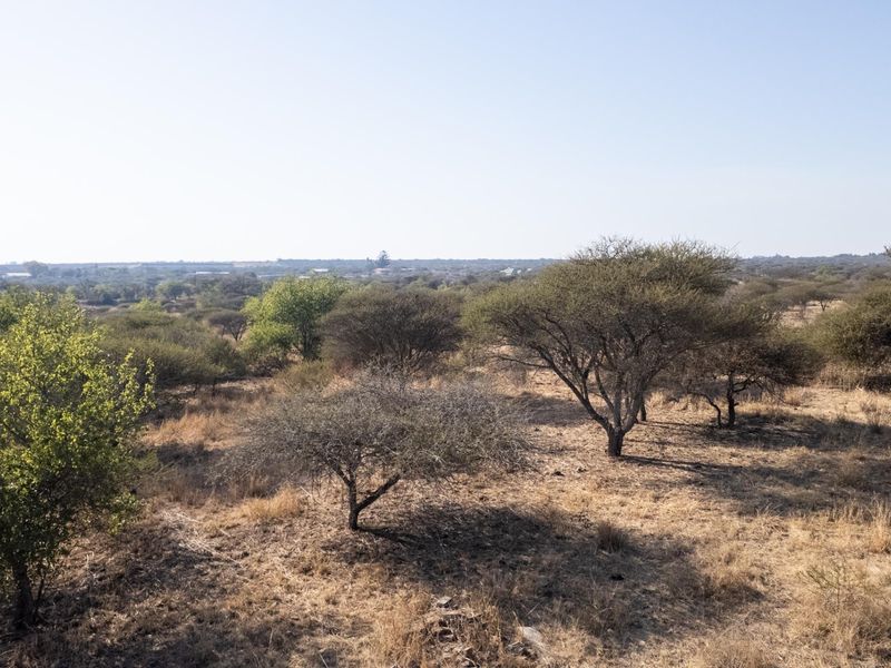 A wide-angle view of the expansive natural landscape and indigenous vegetation surrounding the farm property.