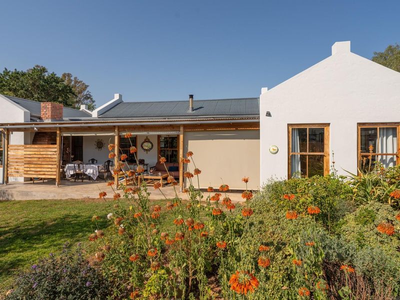 Rear view of a charming white-walled cottage featuring a covered patio, corrugated metal roof, and established garden beds.