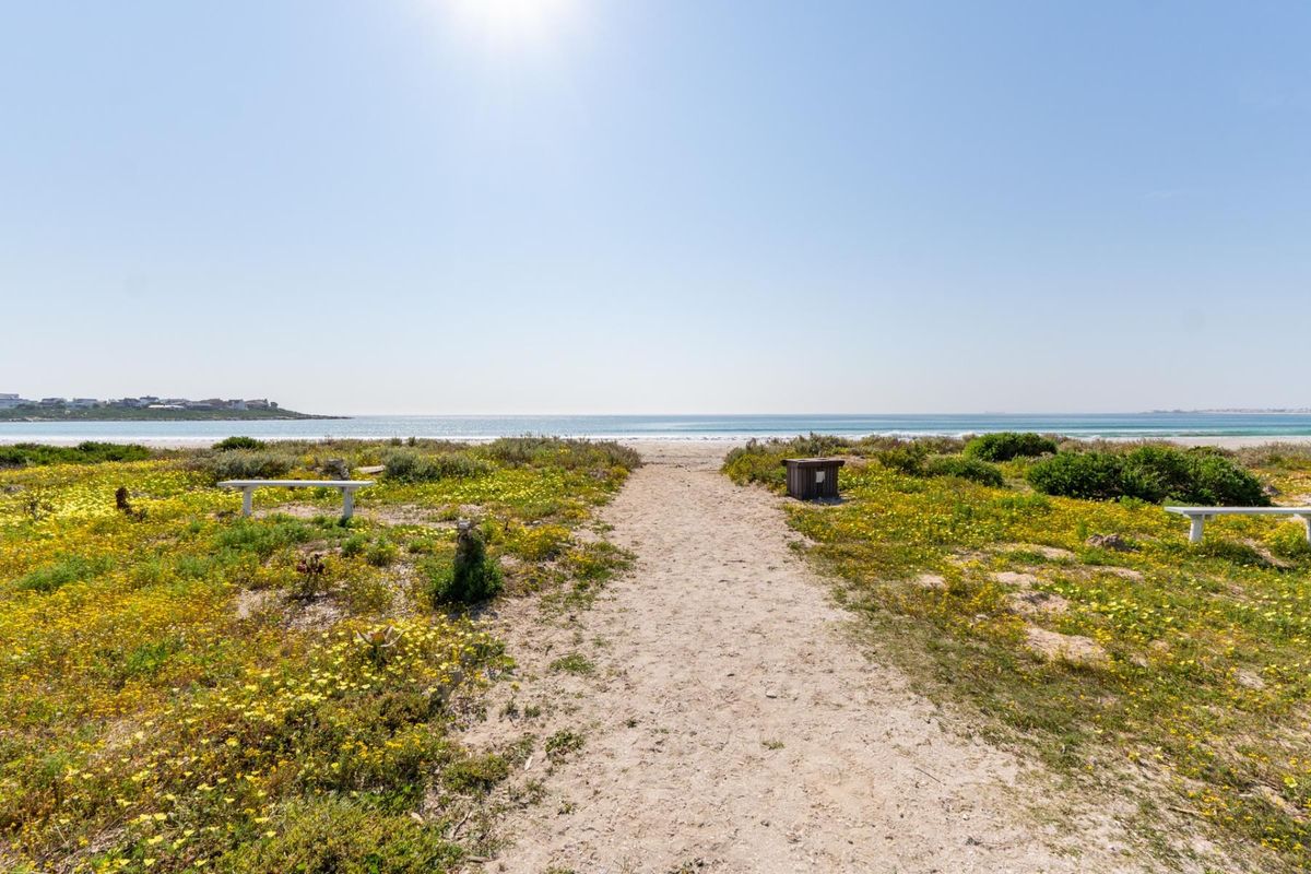 A scenic view of a sandy path leading towards the ocean, surrounded by natural coastal vegetation and wildflowers.