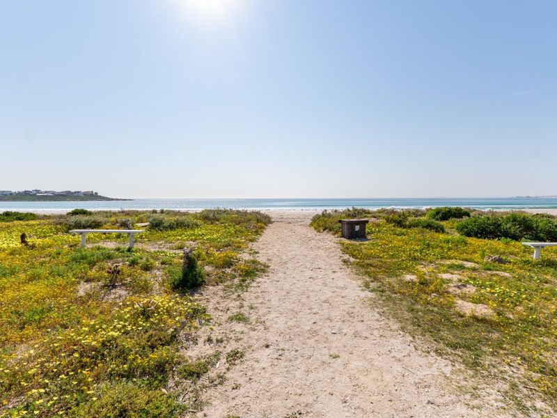 A scenic view of a sandy path leading towards the ocean, surrounded by natural coastal vegetation and wildflowers.