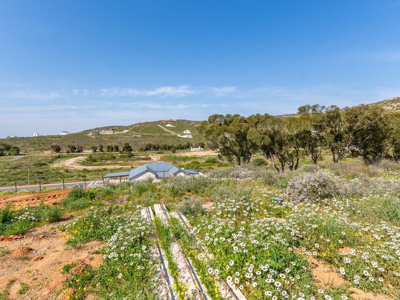 A scenic view overlooking a natural landscape with native vegetation, rolling hills, and distant residential development.