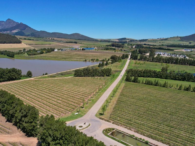 Luxurious Contemporary Living on a Prestigious Wine Estate - Photo 4