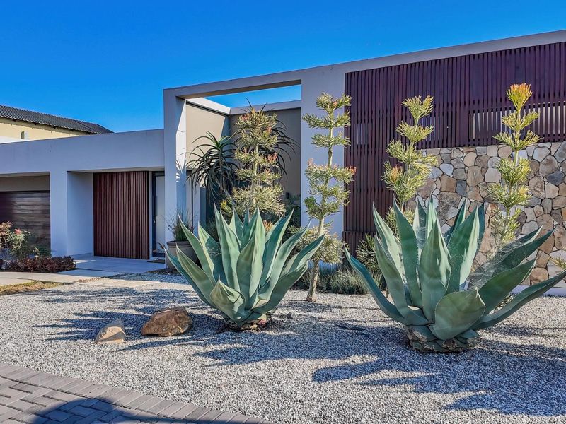 Modern front facade featuring stone cladding, timber slat detailing, and a low-maintenance gravel garden with architectural succulents.