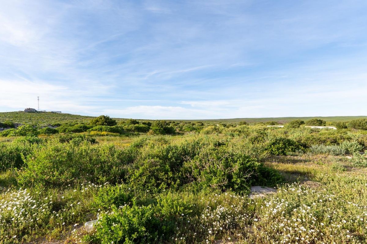 A wide-angle view of a vacant residential plot featuring natural coastal vegetation and open landscape.