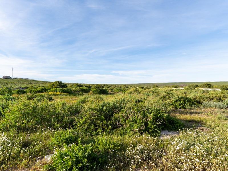 A wide-angle view of a vacant residential plot featuring natural coastal vegetation and open landscape.
