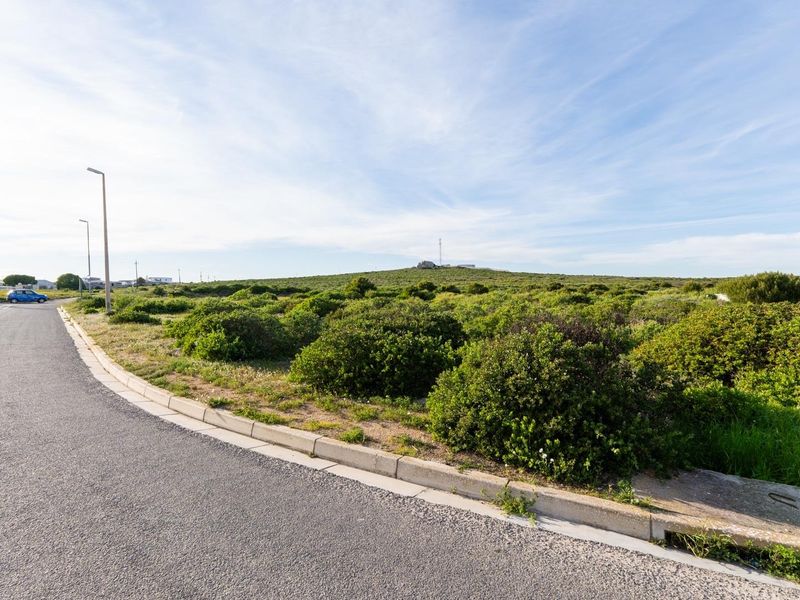 A street-level view of a vacant residential plot featuring established coastal vegetation, paved road access, and concrete curbing.