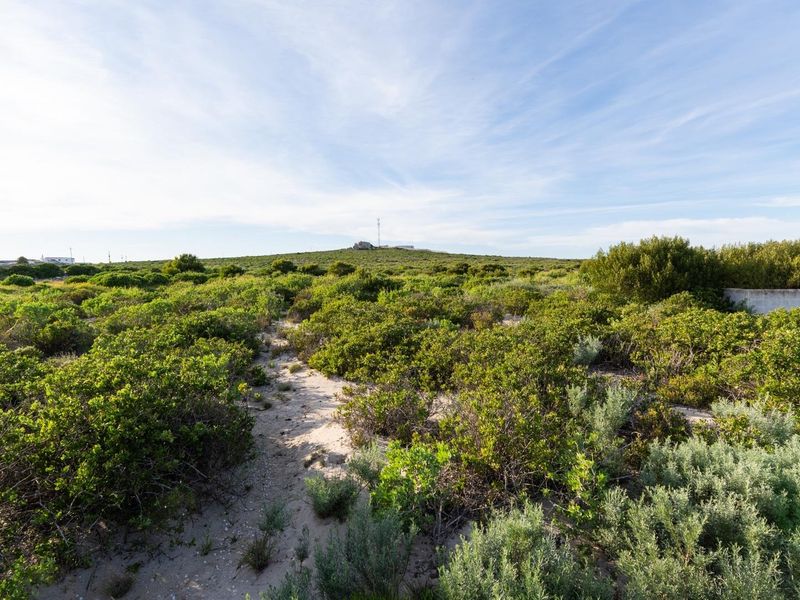 A view of a vacant residential plot featuring native coastal vegetation, sandy ground, and a partial concrete boundary wall.