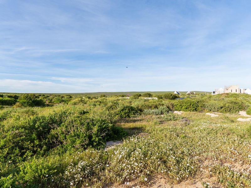 A view of a vacant residential plot featuring natural coastal vegetation and a utility pole under a clear blue sky.