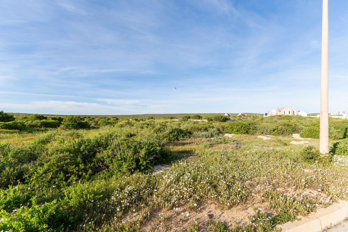 A view of a vacant residential plot featuring natural coastal vegetation and a utility pole under a clear blue sky.