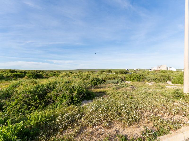 A view of a vacant residential plot featuring natural coastal vegetation and a utility pole under a clear blue sky.