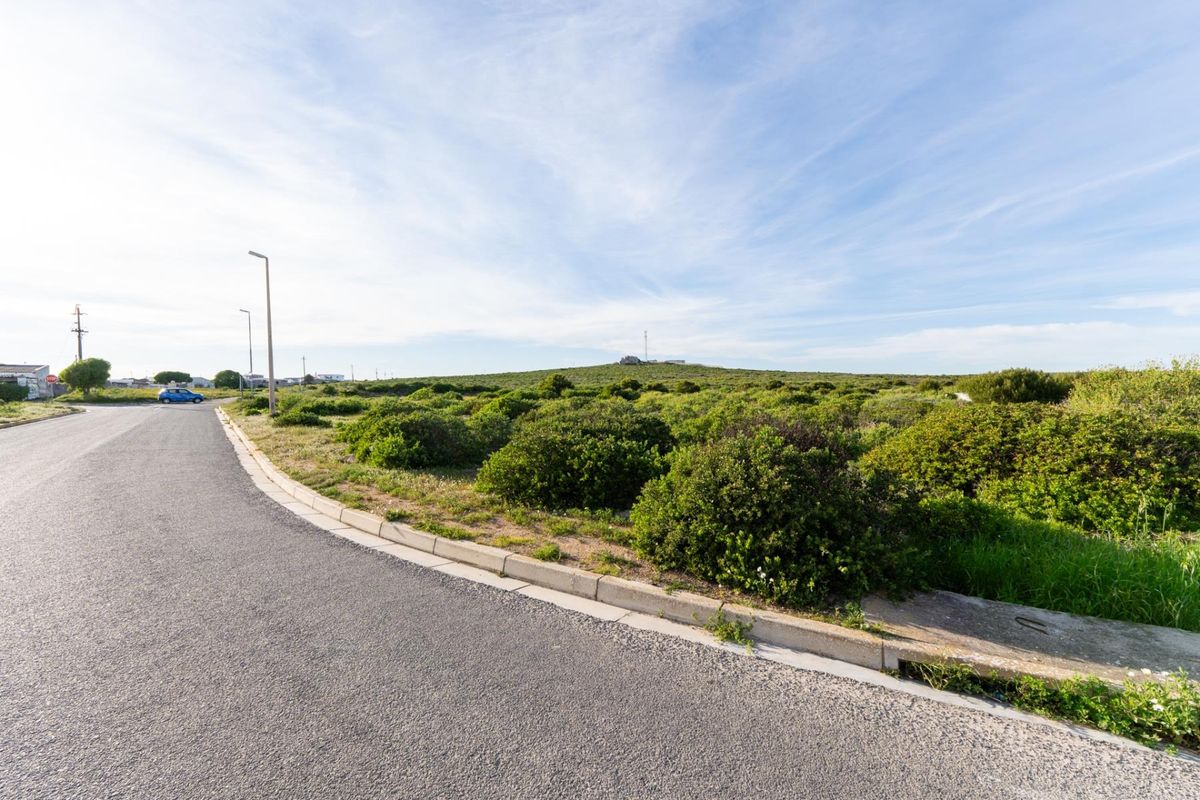 A view of the street frontage and adjacent vacant residential land featuring established coastal vegetation and existing municipal infrastructure.