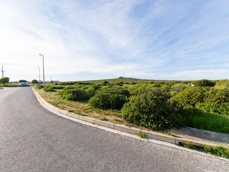A view of the street frontage and adjacent vacant residential land featuring established coastal vegetation and existing municipal infrastructure.