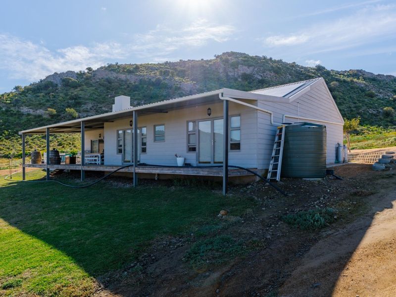 Lifestyle Farm with stylish 4 bedroom Farmhouse between Riversdale and Ladysmith - Photo 4