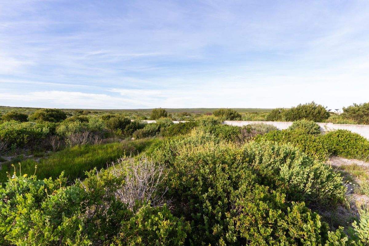 A view of a vacant residential plot featuring natural coastal vegetation and a boundary wall.