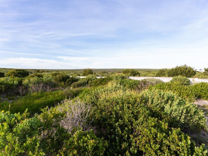 A view of a vacant residential plot featuring natural coastal vegetation and a boundary wall.
