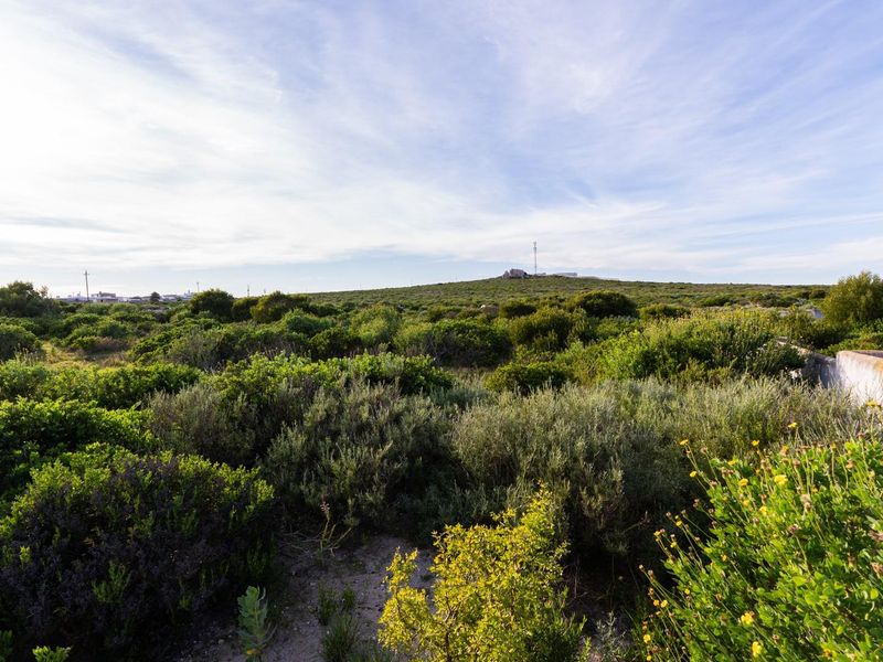 A view of a vacant residential plot featuring natural coastal vegetation and a partial boundary wall.