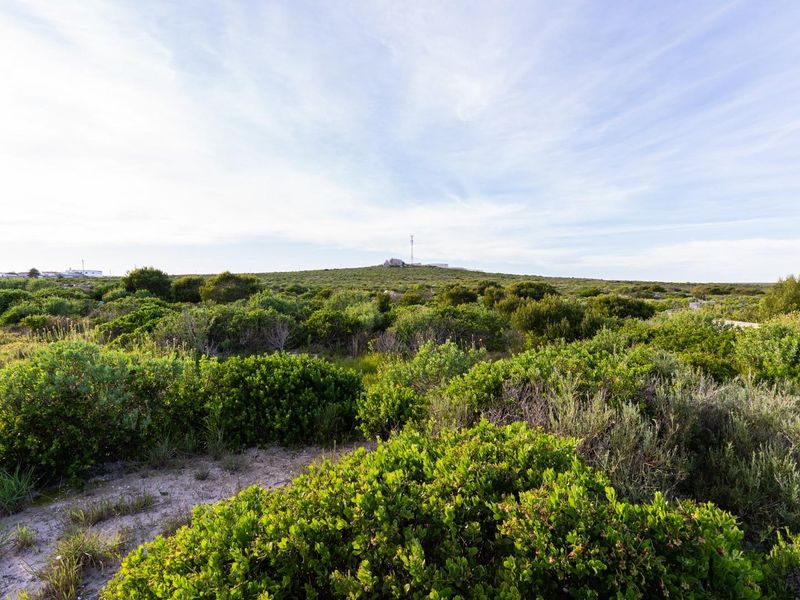 A wide-angle view of a vacant residential plot featuring natural coastal vegetation and open terrain.