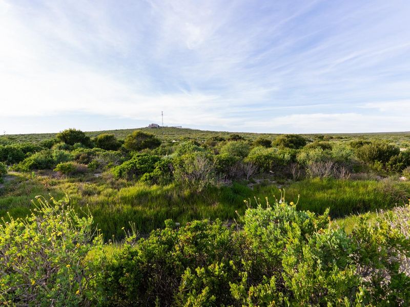 A wide-angle view of the vacant residential land featuring natural coastal vegetation and open landscape under a clear sky.