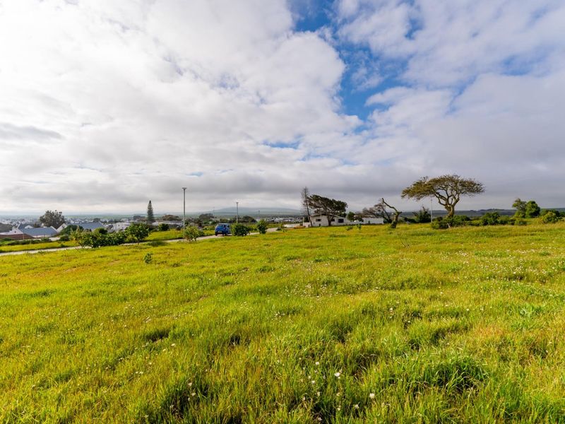 A wide-angle view of a vacant residential plot featuring open grassland, mature trees, and surrounding neighborhood infrastructure.