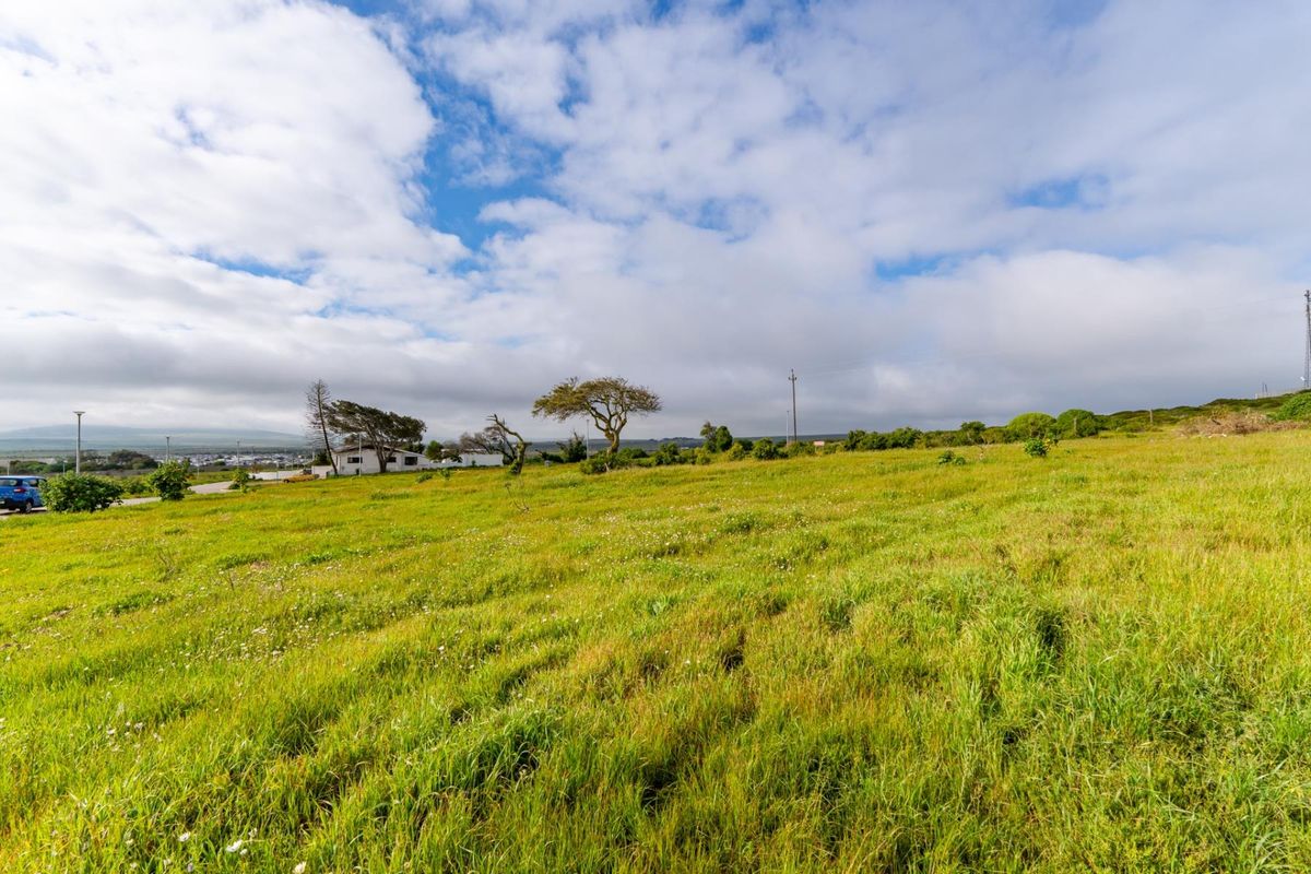 A wide-angle view of a vacant residential plot featuring open grassland, mature trees, and distant neighborhood infrastructure.