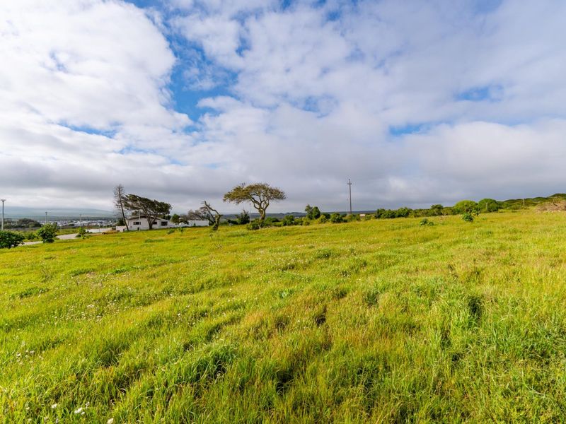 A wide-angle view of a vacant residential plot featuring open grassland, mature trees, and distant neighborhood infrastructure.