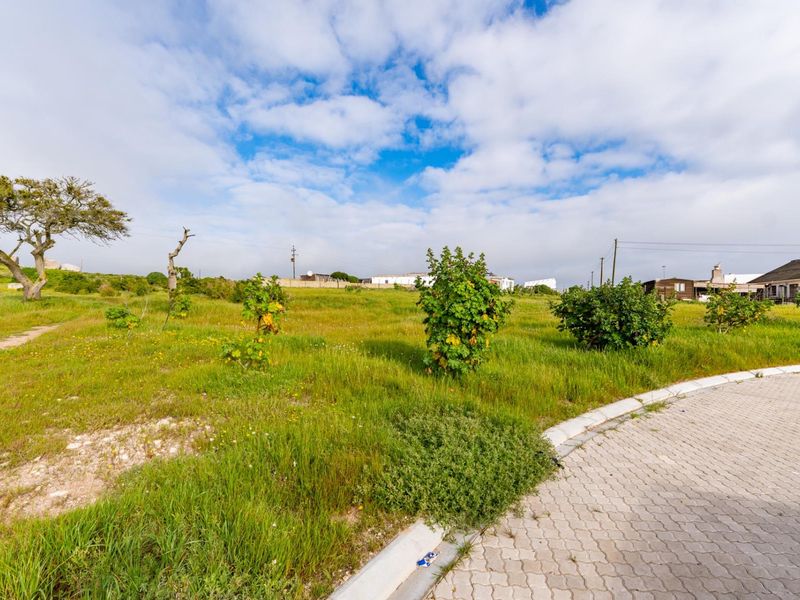 A vacant residential plot featuring a paved driveway edge and natural vegetation, offering a clear view of the surrounding landscape.