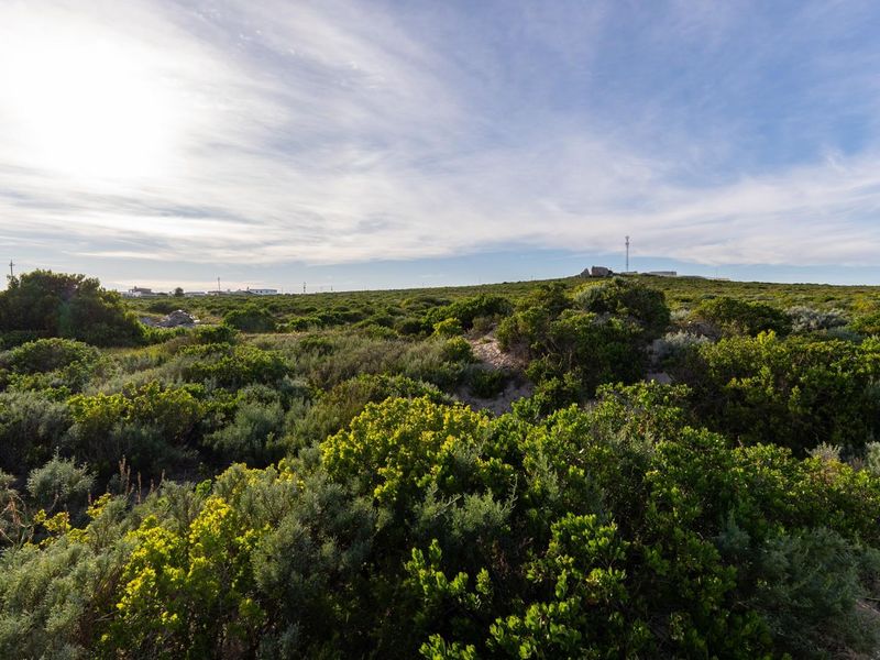 A wide-angle view of a vacant residential plot featuring natural coastal vegetation and open landscape.
