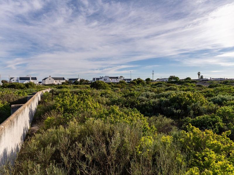 A view of a vacant residential plot featuring established indigenous vegetation and a concrete boundary wall, with neighboring properties visible in the distance.