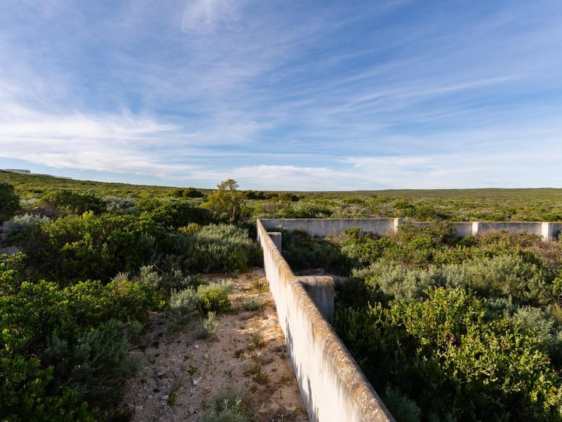 A view of a vacant residential plot featuring a weathered concrete boundary wall surrounded by native coastal vegetation.