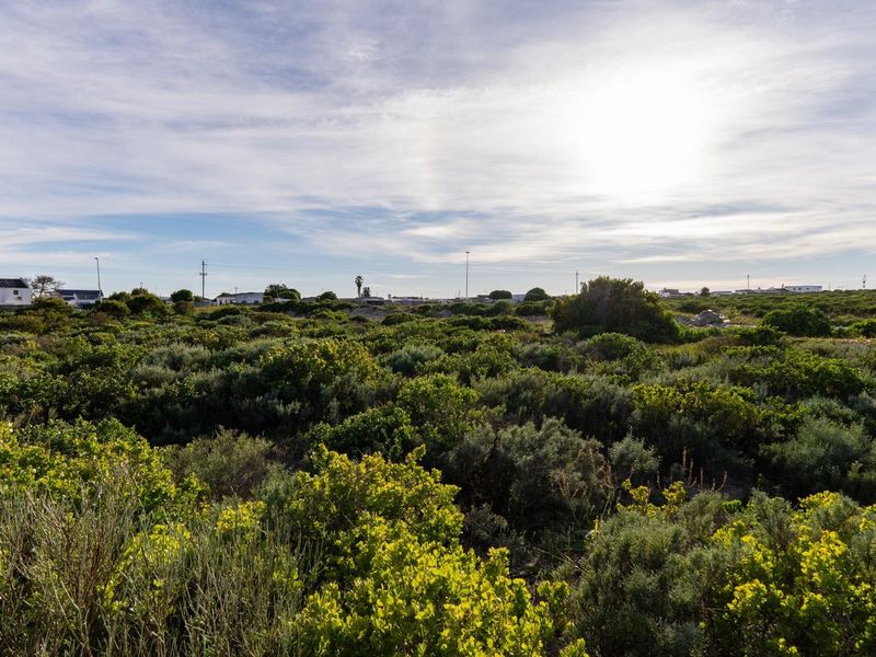 A wide-angle view of a vacant residential plot covered in natural coastal vegetation under a bright, expansive sky.